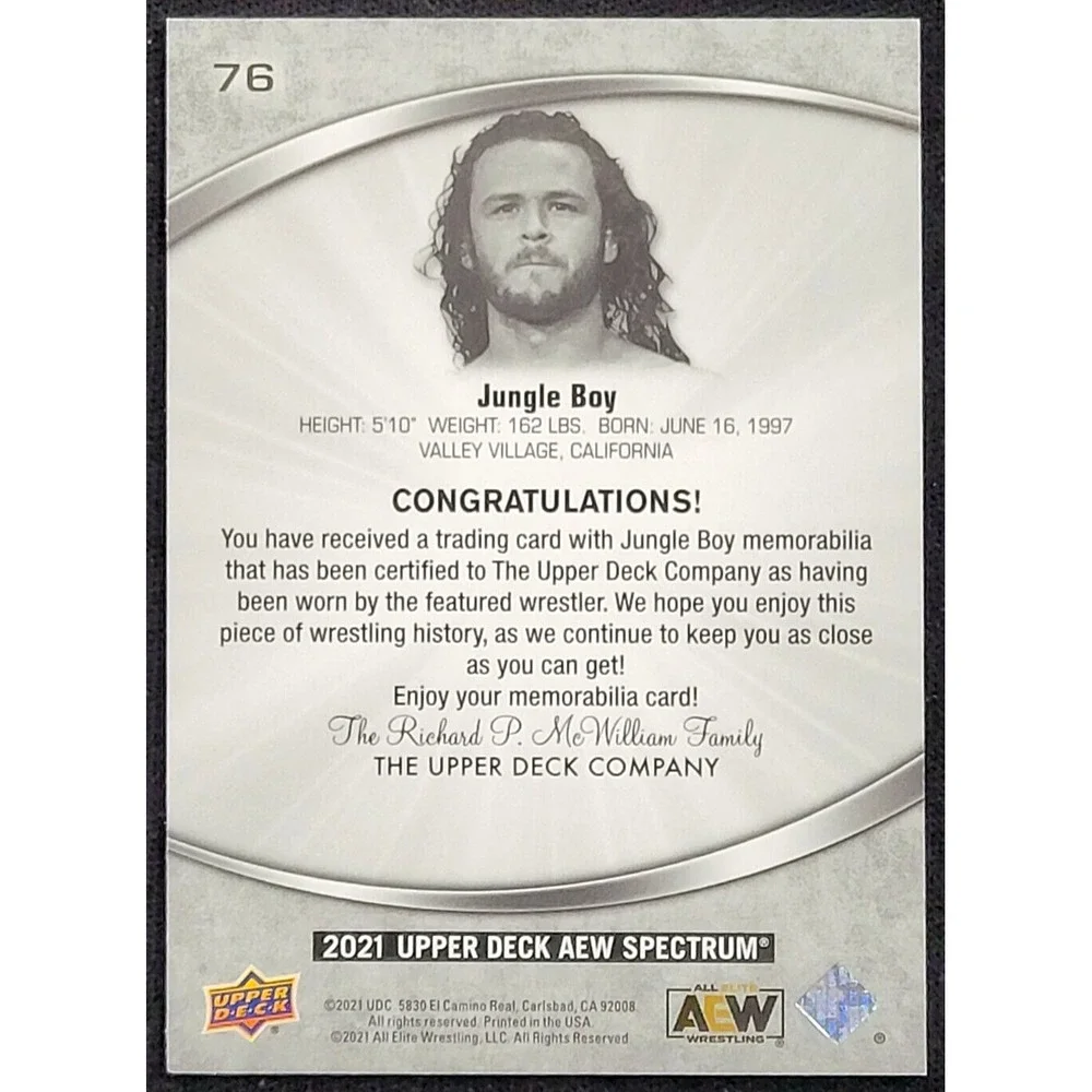 2021 UPPER DECK AEW SPECTRUM JUNGLE‎ BOY RELIC ALL ELITE WRESTLING